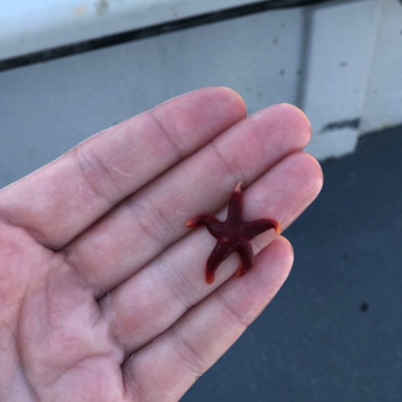 Meet your Posher, Cassie - Picture 8 of 8